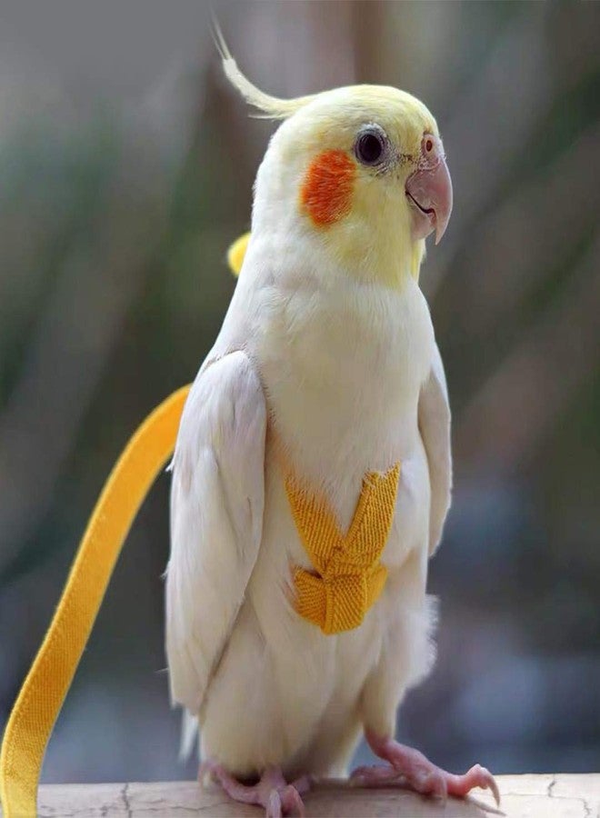 Cyblinia Adjustable Bird Harness Leash Parrot Flying Rope Straps Outdoor Training Traction Rope for Small Parrots, Random Color - Image 5
